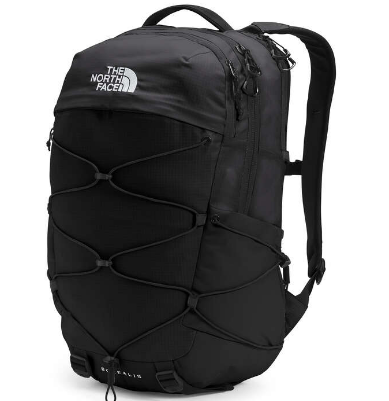 The North Face Borealis Backpack